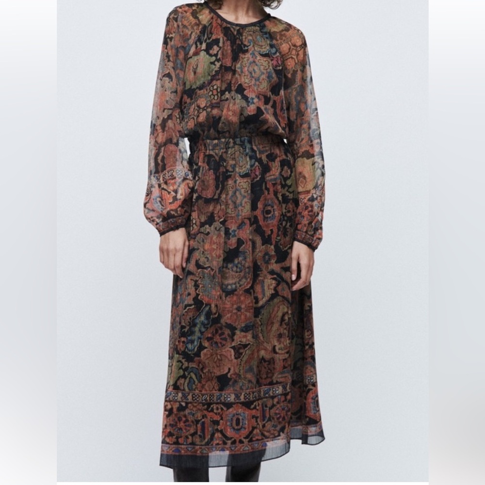 Zara Multicolor Printed Sheer Dress